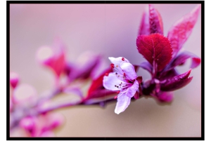 2026-05-13_Fotomagazin_Natur-und-Farben_2_2_Seite_11
