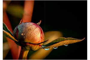 2026-05-13_Fotomagazin_Natur-und-Farben_2_2_Seite_14