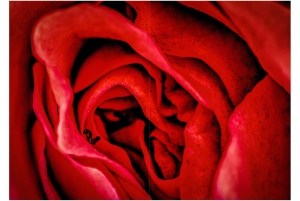 2026-05-13_Fotomagazin_Natur-und-Farben_2_2_Seite_16