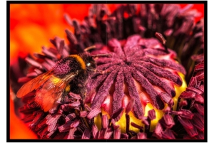 2026-05-13_Fotomagazin_Natur-und-Farben_2_2_Seite_17