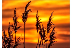 2026-05-13_Fotomagazin_Natur-und-Farben_2_2_Seite_20