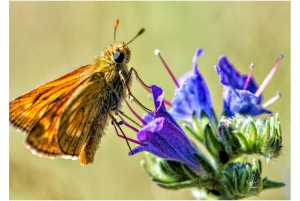 2026-05-13_Fotomagazin_Natur-und-Farben_2_2_Seite_21