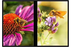 2026-05-13_Fotomagazin_Natur-und-Farben_2_2_Seite_22