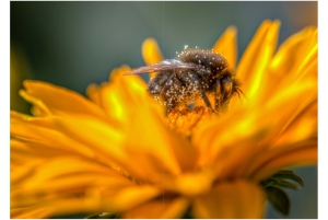 2026-05-13_Fotomagazin_Natur-und-Farben_2_2_Seite_23