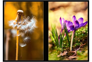 2026-05-13_Fotomagazin_Natur-und-Farben_2_2_Seite_26