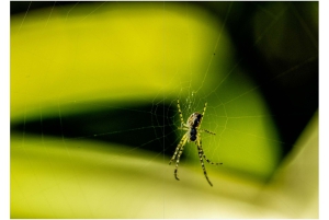 2026-05-13_Fotomagazin_Natur-und-Farben_2_2_Seite_27