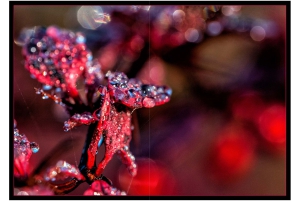 2026-05-13_Fotomagazin_Natur-und-Farben_2_2_Seite_28