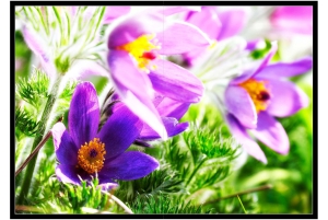 2026-05-13_Fotomagazin_Natur-und-Farben_2_2_Seite_29