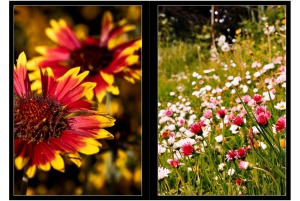 2026-05-13_Fotomagazin_Natur-und-Farben_2_2_Seite_30