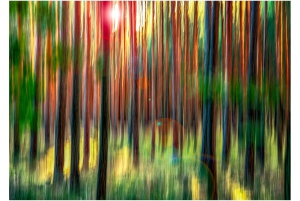 2026-05-13_Fotomagazin_Natur-und-Farben_2_2_Seite_31