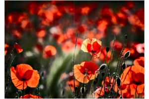 2026-05-13_Fotomagazin_Natur-und-Farben_2_2_Seite_32