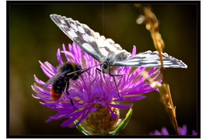 2026-05-13_Fotomagazin_Natur-und-Farben_2_2_Seite_34