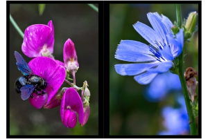 2026-05-13_Fotomagazin_Natur-und-Farben_2_2_Seite_37