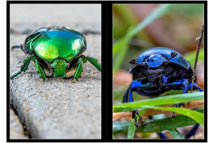 2026-05-13_Fotomagazin_Natur-und-Farben_2_2_Seite_38