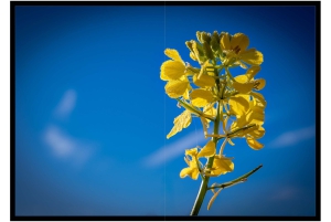 2026-05-13_Fotomagazin_Natur-und-Farben_2_2_Seite_39