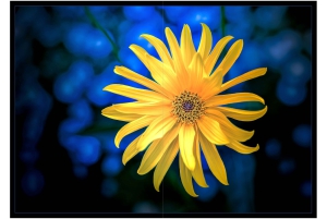 2026-05-13_Fotomagazin_Natur-und-Farben_2_2_Seite_40