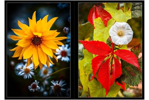 2026-05-13_Fotomagazin_Natur-und-Farben_2_2_Seite_41