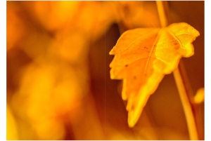 2026-05-13_Fotomagazin_Natur-und-Farben_2_2_Seite_42