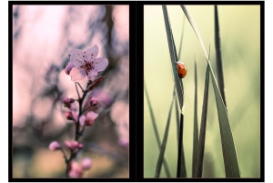 2026-05-13_Fotomagazin_Natur-und-Farben_2_2_Seite_47