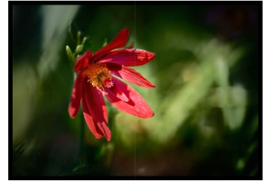2026-05-13_Fotomagazin_Natur-und-Farben_2_2_Seite_48