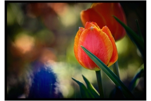 2026-05-13_Fotomagazin_Natur-und-Farben_2_2_Seite_49