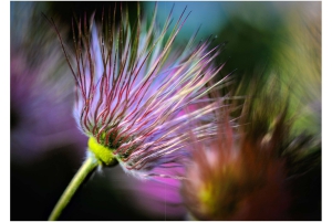2026-05-13_Fotomagazin_Natur-und-Farben_2_2_Seite_50
