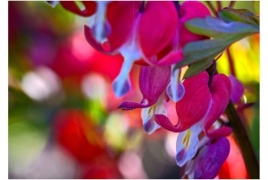 2026-05-13_Fotomagazin_Natur-und-Farben_2_2_Seite_51