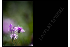 2026-05-13_Fotomagazin_Natur-und-Farben_2_2_Seite_52