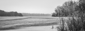 2026-01-18-09-31-52-GFX100S-II