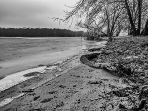 2026-01-18-09-37-15-GFX100S-II