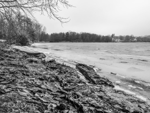 2026-01-18-09-38-03-GFX100S-II