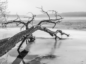 2026-01-18-09-46-23-GFX100S-II