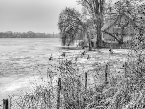 2026-01-18-10-00-35-GFX100S-II