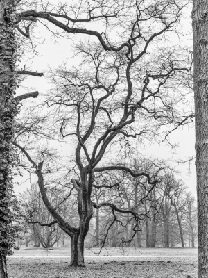 2026-01-18-10-22-11-GFX100S-II