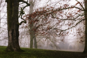 Im Schlosspark Celle