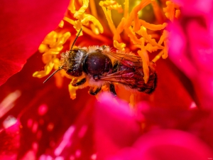 2026-06-07-12-02-17-NIKON-Z-8