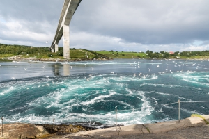 Saltstraumen