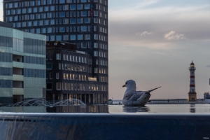 Malmö