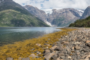 Øksfjordbre