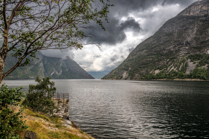 2025-08-15-10-57-43-NZ8_4242-HDR