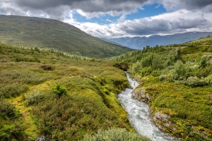 2025-08-15-13-26-22-NZ8_4680
