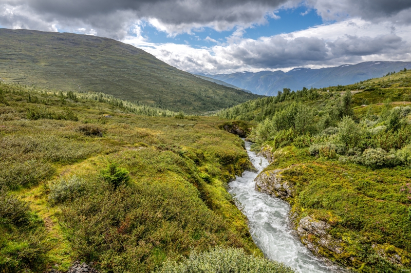 2025-08-15-13-26-22-NZ8_4680