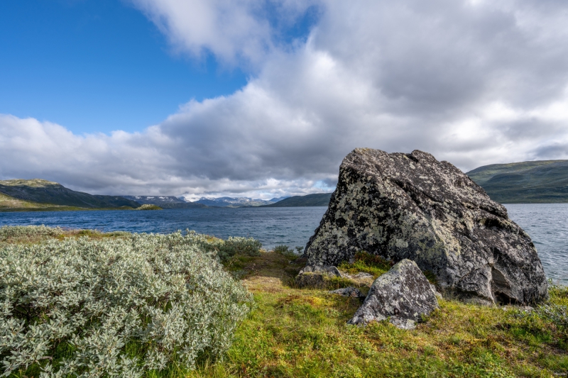 2025-08-16-08-30-42-NZ7_0067