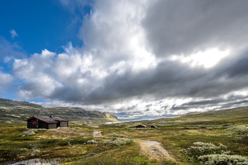 2025-08-16-08-53-59-NZ7_0073
