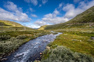 2025-08-16-10-23-12-NZ7_0134