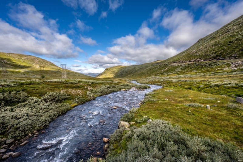 2025-08-16-10-23-12-NZ7_0134