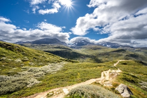 2025-08-16-11-15-55-NZ7_0188