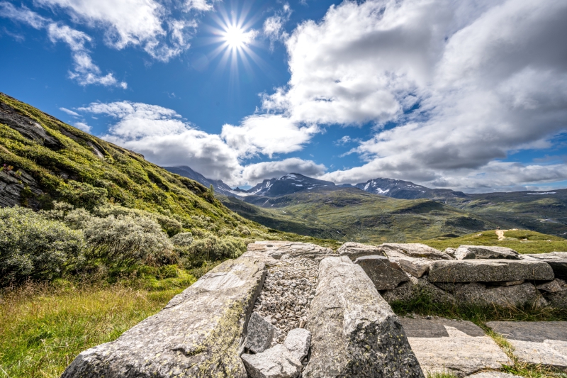 2025-08-16-11-17-35-NZ7_0192