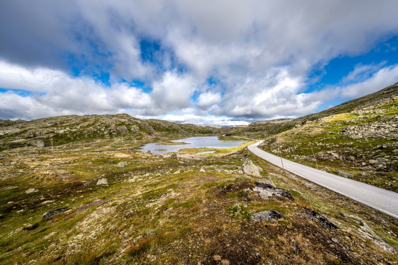 2025-08-16-11-28-08-NZ7_0205