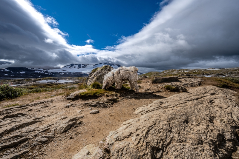 2025-08-16-12-26-13-NZ7_0320